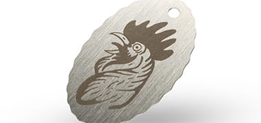 Acciaio inossidabile spazzolato